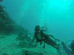 Hawaii Scuba divng 54