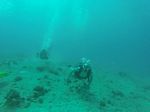 Hawaii Scuba divng 62