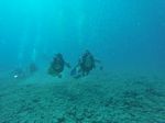 Hawaii Scuba divng 64