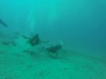 Hawaii Scuba divng 66