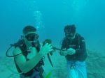 Hawaii Scuba divng 76