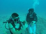 Hawaii Scuba divng 77