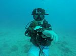 Hawaii Scuba divng 80