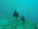 Hawaii Scuba divng 96