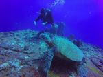 Hawaii Scuba divng 15