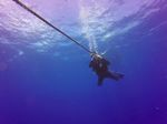 Hawaii Scuba divng 01