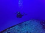 Hawaii Scuba divng 02