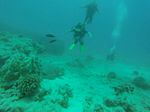 Hawaii Scuba divng 10