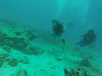 Hawaii Scuba divng 12