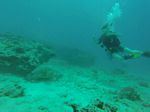 Hawaii Scuba divng 14