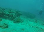 Hawaii Scuba divng 16