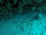 Hawaii Scuba divng 19