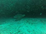 Hawaii Scuba divng 01
