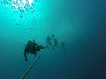 Hawaii Scuba divng 21