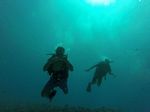 Hawaii Scuba divng 23