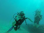 Hawaii Scuba divng 24