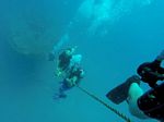 Hawaii Scuba divng 51