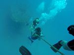 Hawaii Scuba divng 53