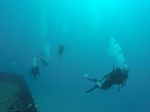 Hawaii Scuba divng 57