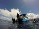 Hawaii Scuba divng 62