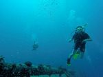 Hawaii Scuba divng 69