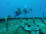 Hawaii Scuba divng 87