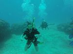 Hawaii Scuba divng 94