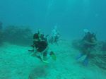 Hawaii Scuba divng 95