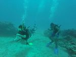 Hawaii Scuba divng 96