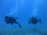 Hawaii Scuba 16