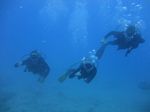 Hawaii Scuba 32