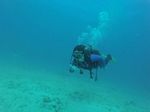 Hawaii Scuba divng 11