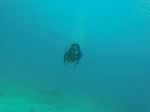 Hawaii Scuba divng 12