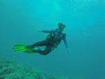 Hawaii Scuba divng 18