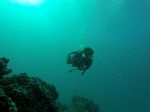 Hawaii Scuba divng 23