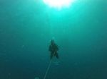 Hawaii Scuba divng 38