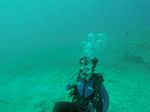 Hawaii Scuba divng 40