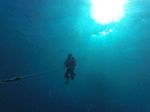 Hawaii Scuba divng 49