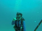 Hawaii Scuba divng 04