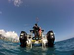 Hawaii Scuba divng 60