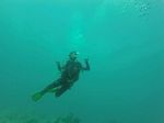 Hawaii Scuba divng 69