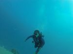 Hawaii Scuba divng 06