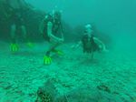 Hawaii Scuba divng 15