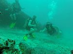 Hawaii Scuba divng 16