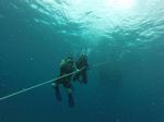 Hawaii Scuba divng 01