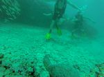 Hawaii Scuba divng 20