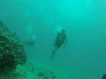 Hawaii Scuba divng 26