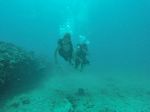 Hawaii Scuba divng 27