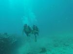 Hawaii Scuba divng 28