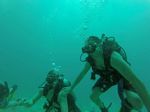 Hawaii Scuba divng 29